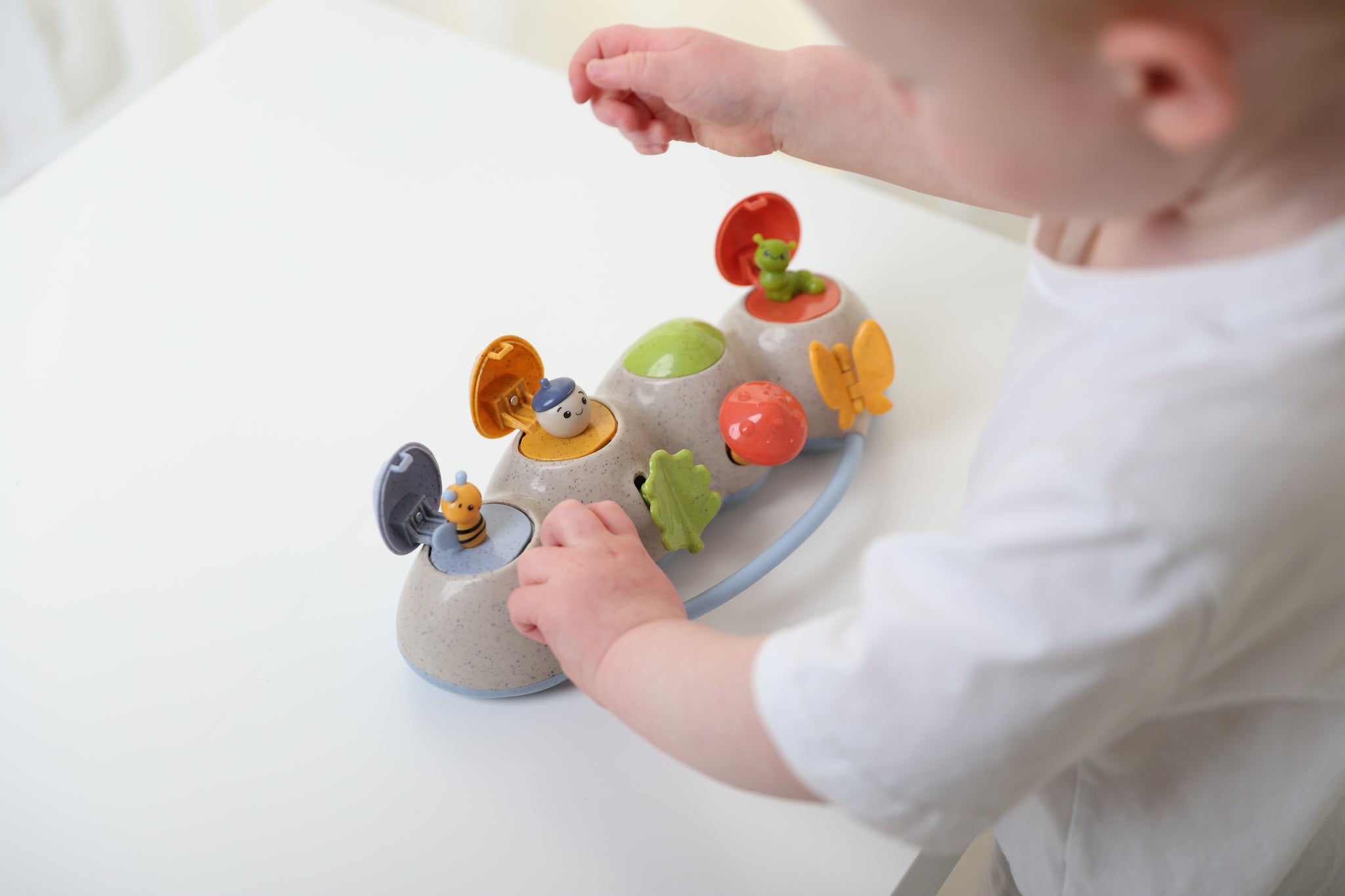 Pop Up Dinosaur - TOLO – Speedy Monkey